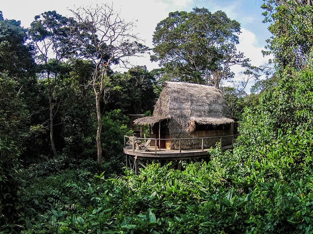 terrace lodge