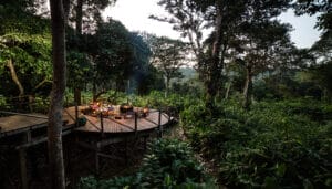 terrace firepit