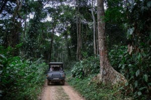 offroad safari