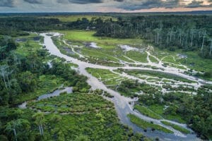 aerial view of river