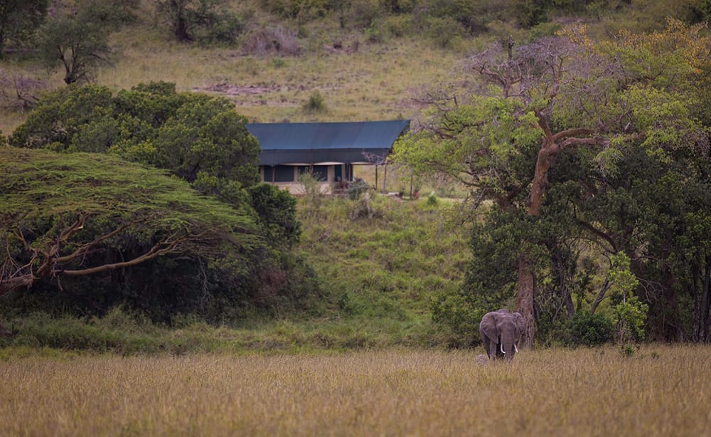 Kicheche-Mara-Camp_2