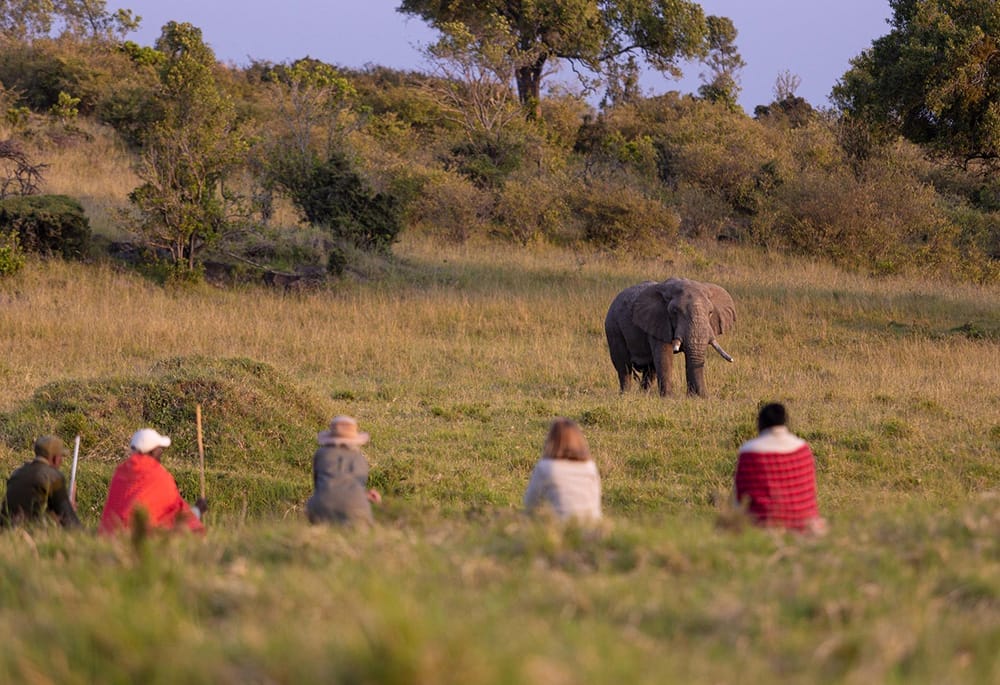 Kicheche-Mara-Camp_3