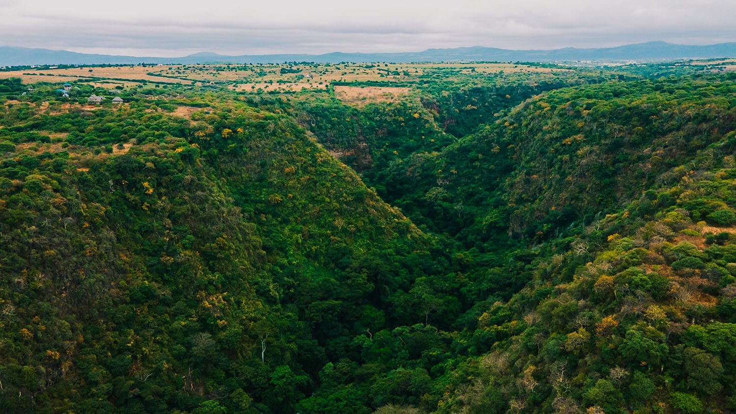 Kirurumu Manyara - gal 4