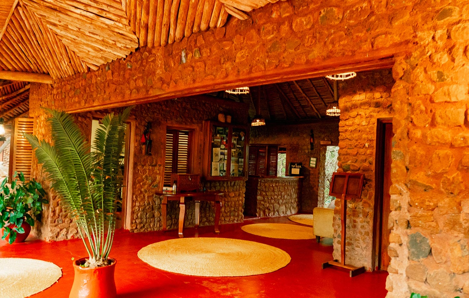 Kirurumu Manyara - gal 6