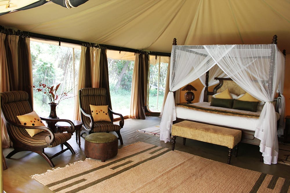 Mara-Ngenche-Safari-Camp-Masai-Mara_7