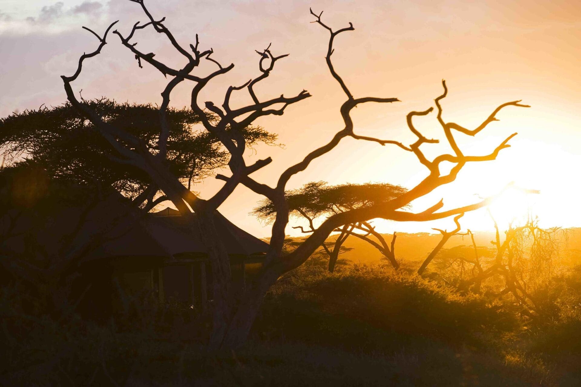 Masek Tented Lodge Ngorongoro Serengeti_1