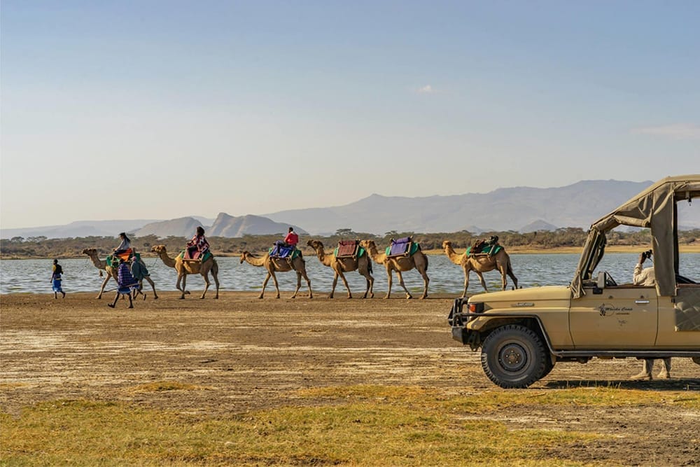 Mbweha Camp_6