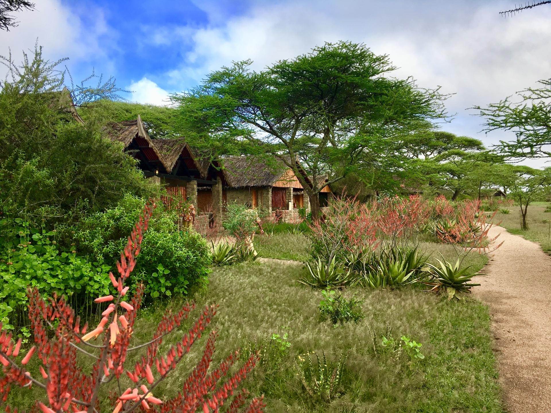 Ndutu Safari Lodge Cottages