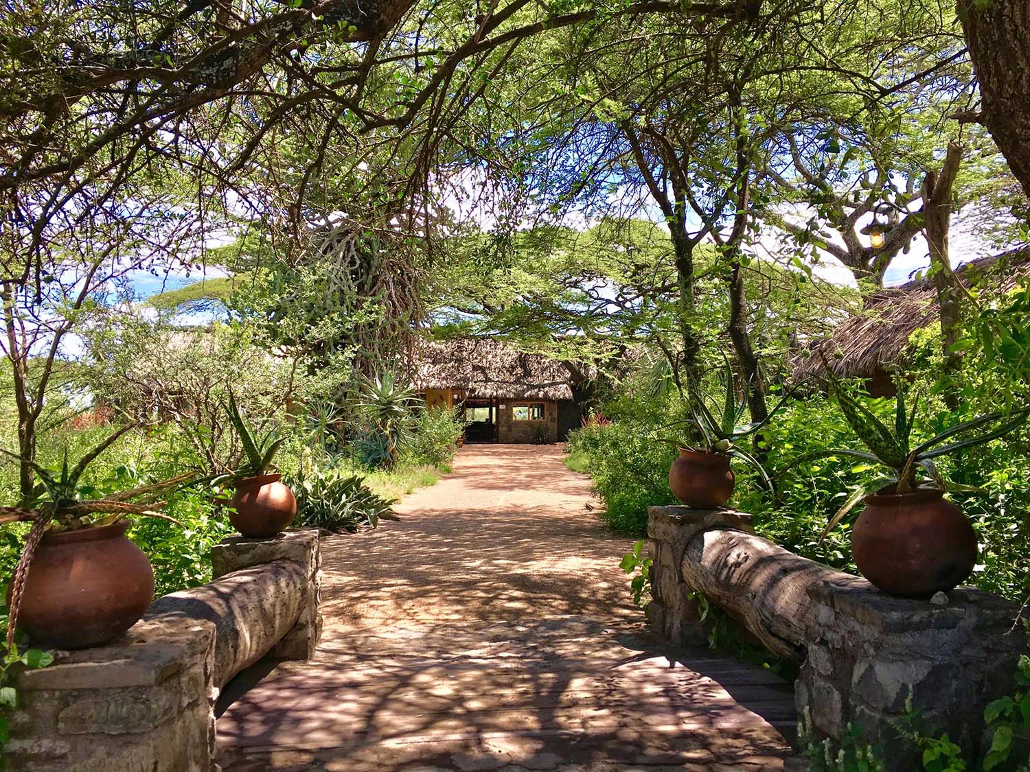 Ndutu Safari Lodge - entrance