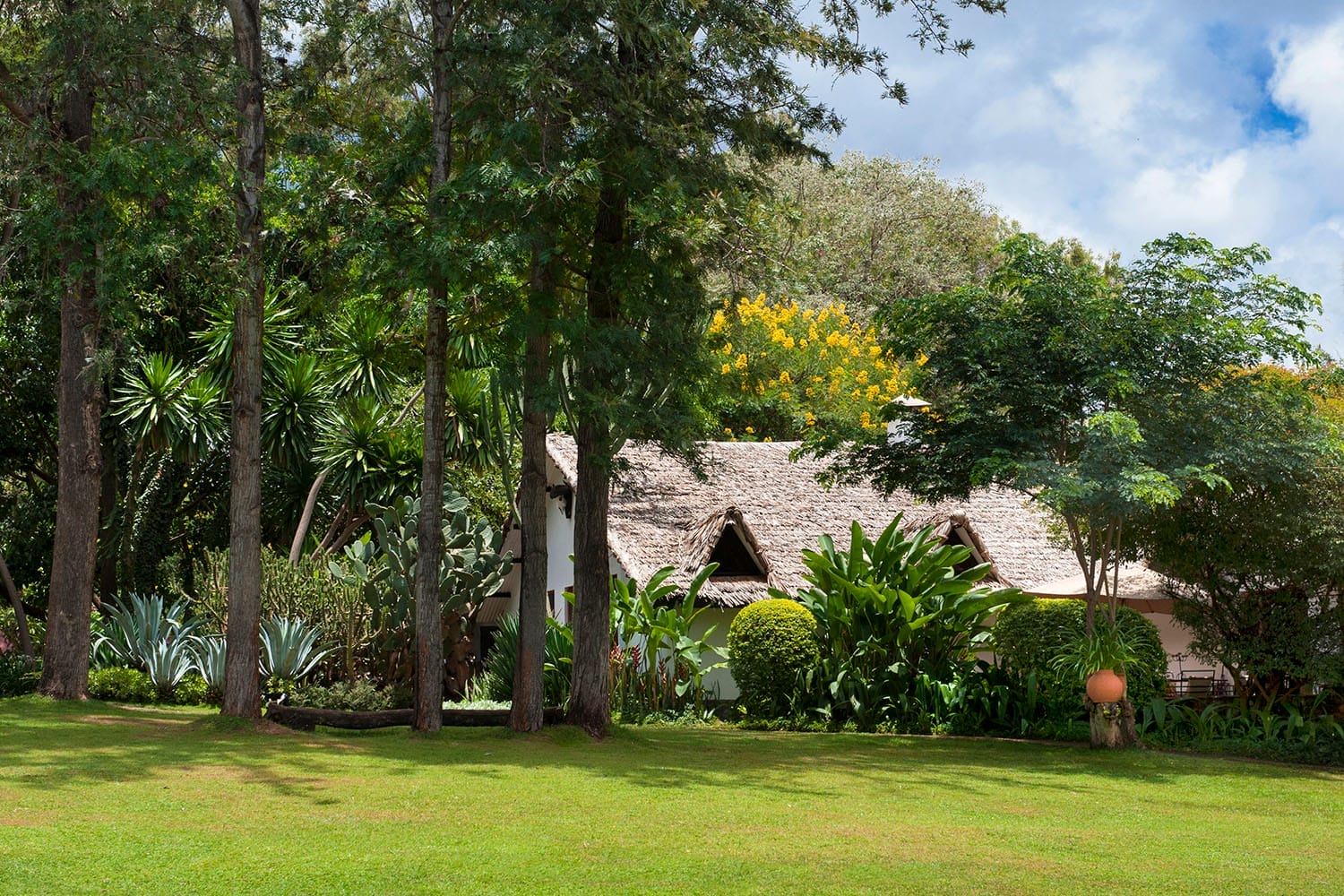 Plantation Lodge - gal 3