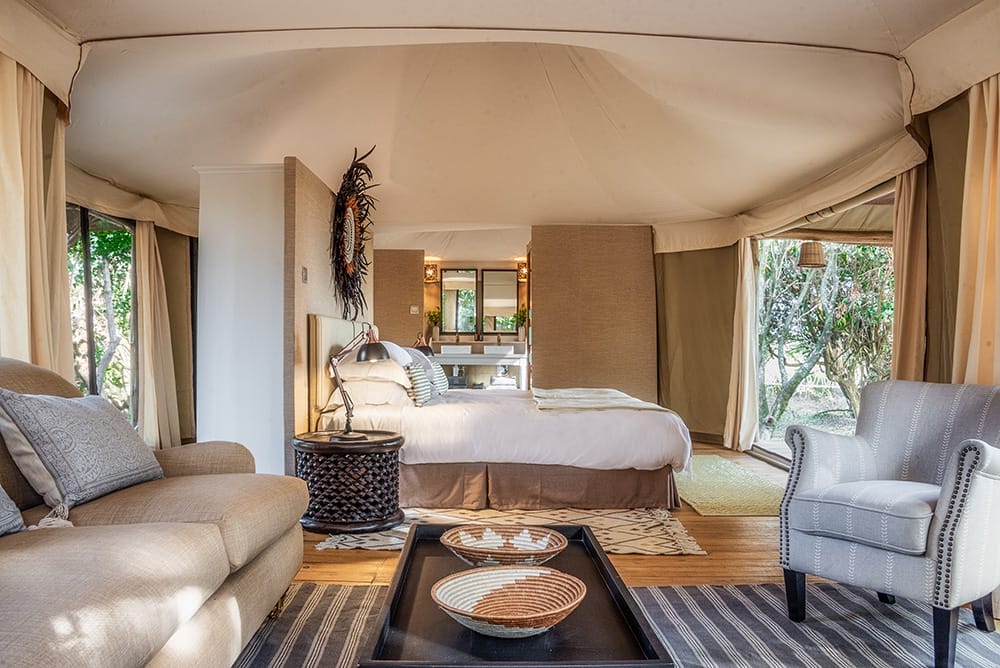 Premium-Suite--(1)
