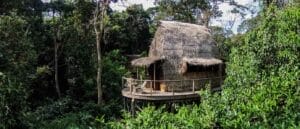 elevated thatch campsite