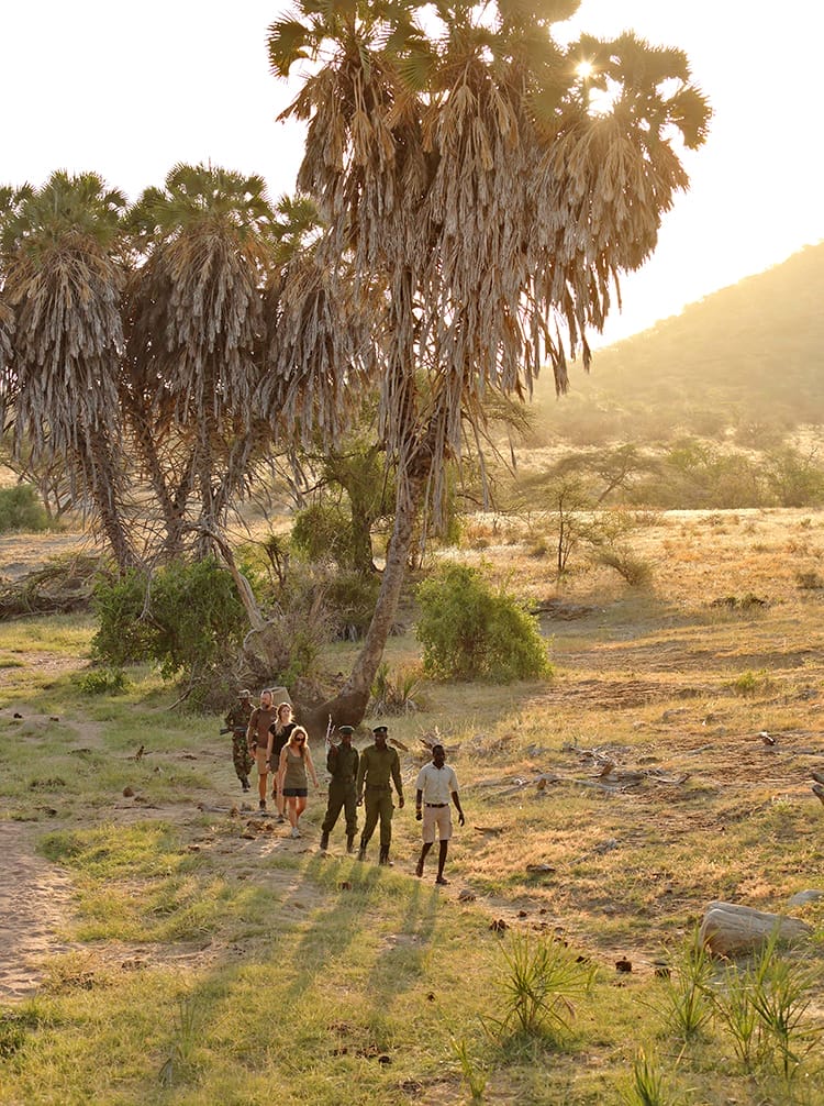 Rhino Tracking in Sera Conservancy - featured