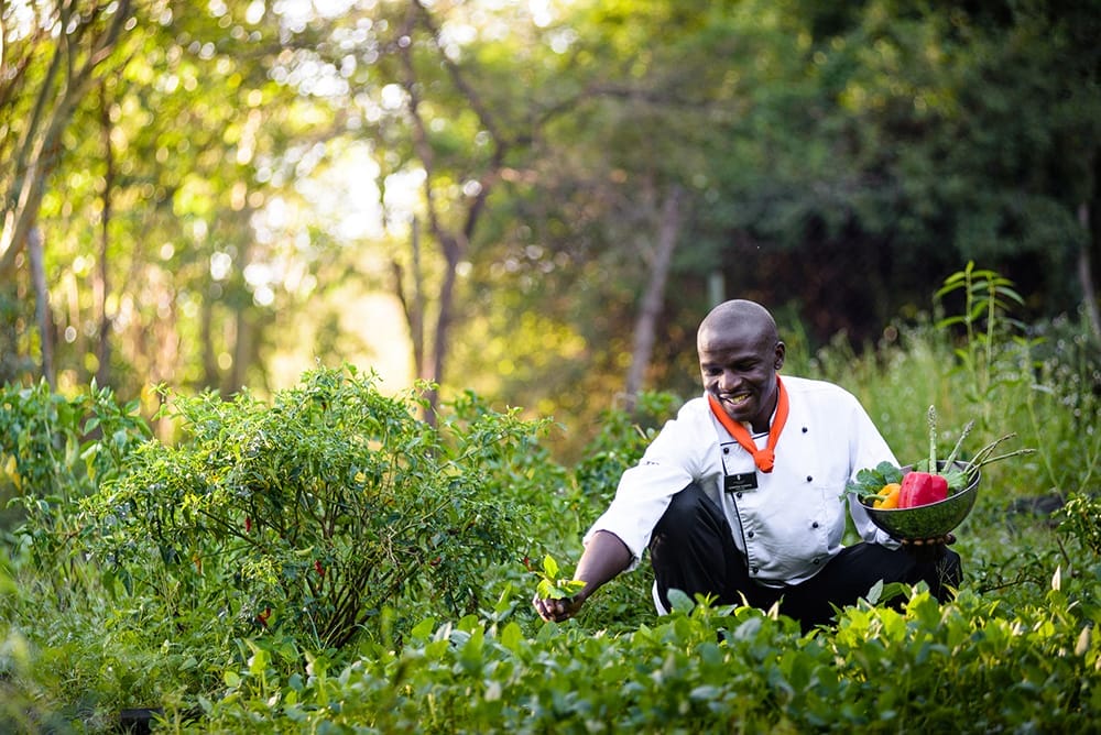Sanctuary-Olonana-organic-garden