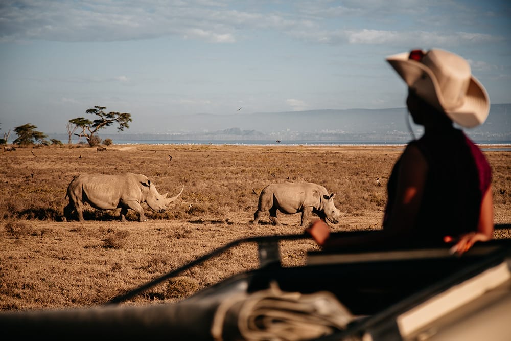 Sarova Lion Hill Game Lodge - Game Drive 65