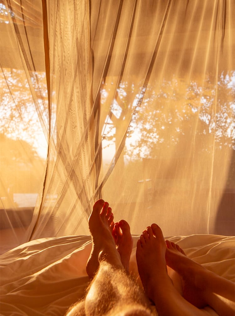 Silverless_Lentorre_06