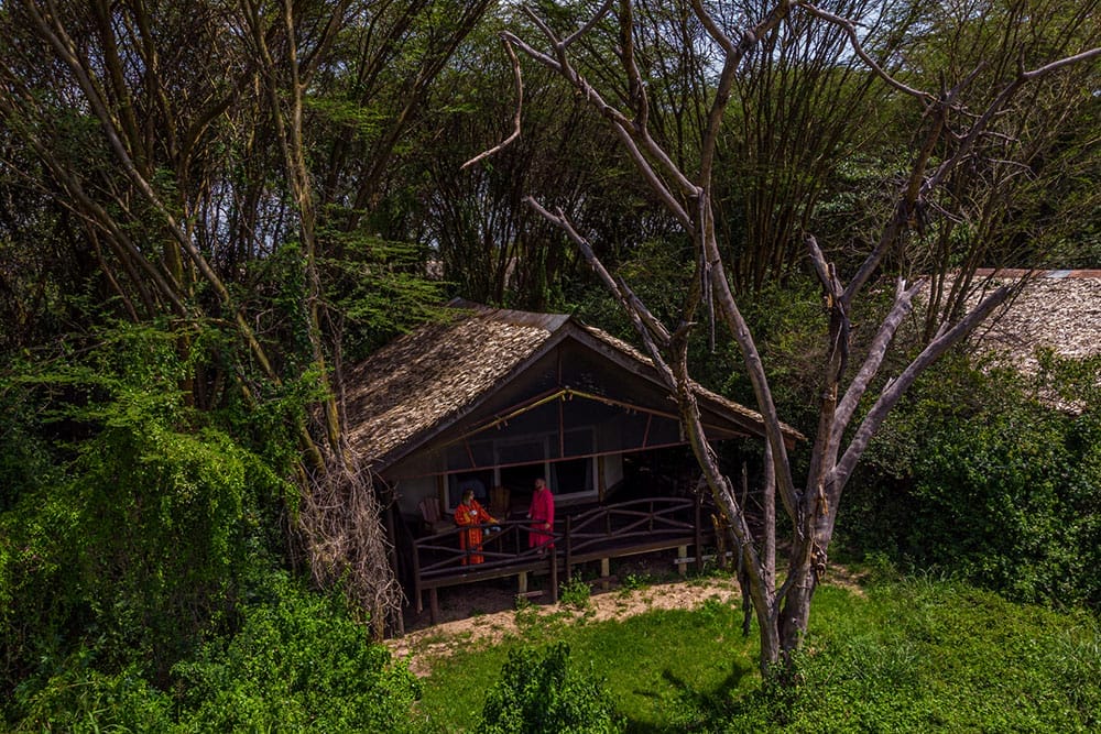 Tipilikwani-Mara-Camp-Masai-Mara_5