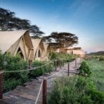 Walkways and Tent Exterior
