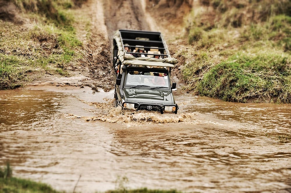 activities_wildlife_game_drive_1