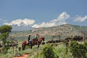horseriding