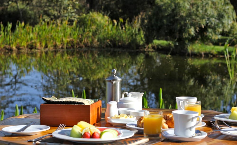 breakfast_pond