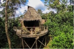 Lodge in the Republic of the Congo