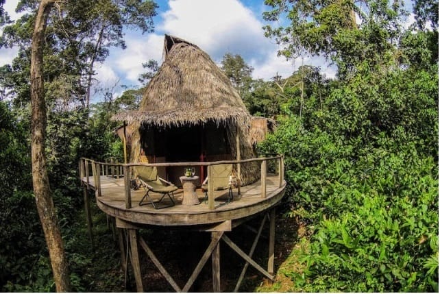 congo-1 | Gamewatchers Safaris Lodge in the Republic of the Congo