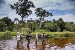 River through the Republic of the Congo