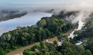 Congo river Aerial view