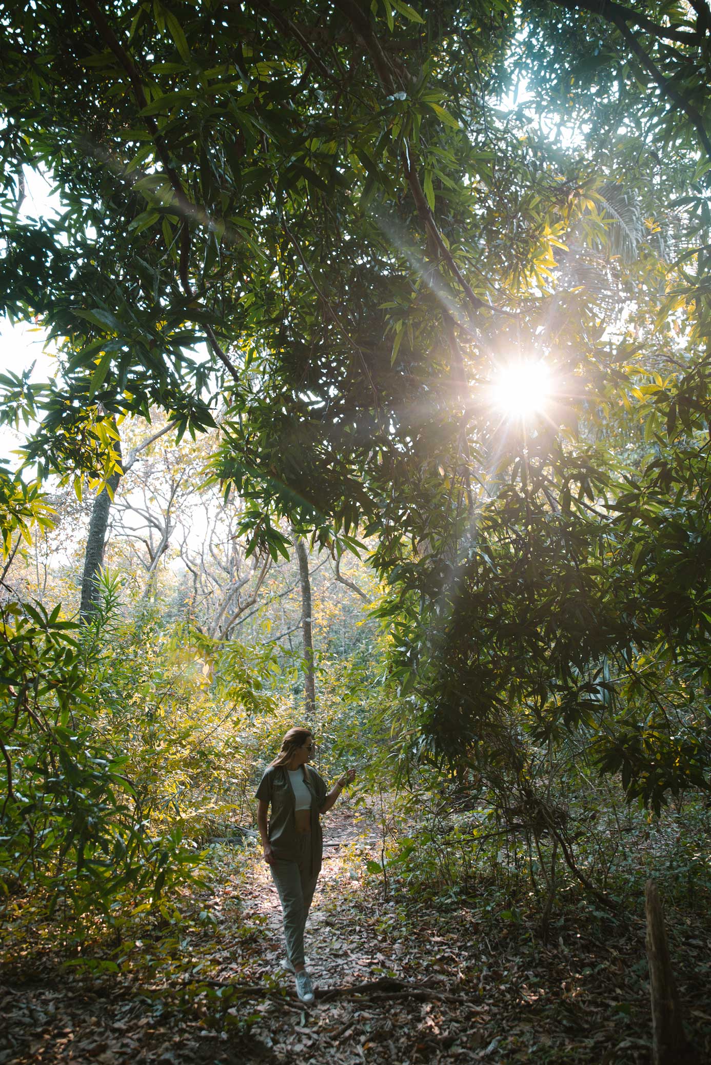 forest walk