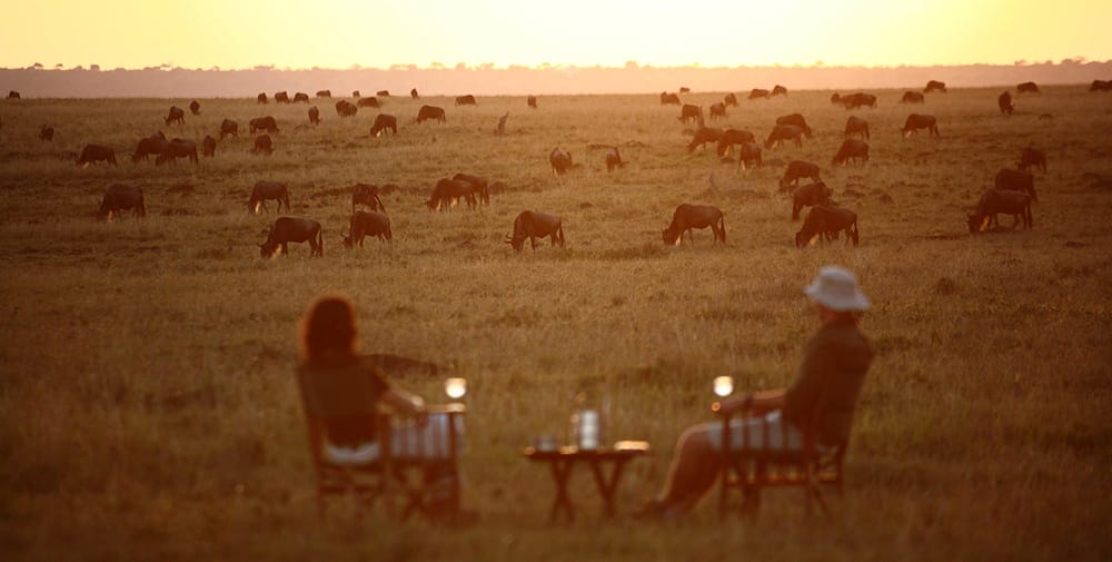 elephant_pepper_camp_-_sundowners_2