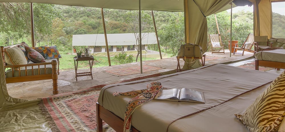 entomoto-toto_camp_-_family_tent__4