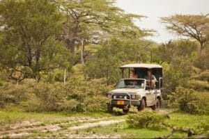 safari vehicle