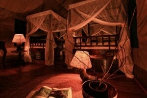 ambient lighting