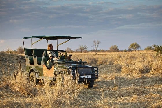 safari vehicle