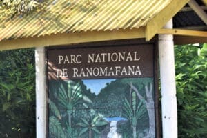 Ranomafana National Park