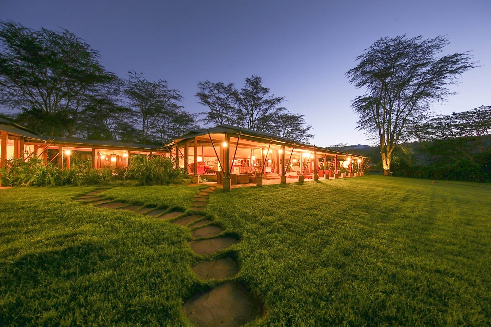 serenaelementaita127