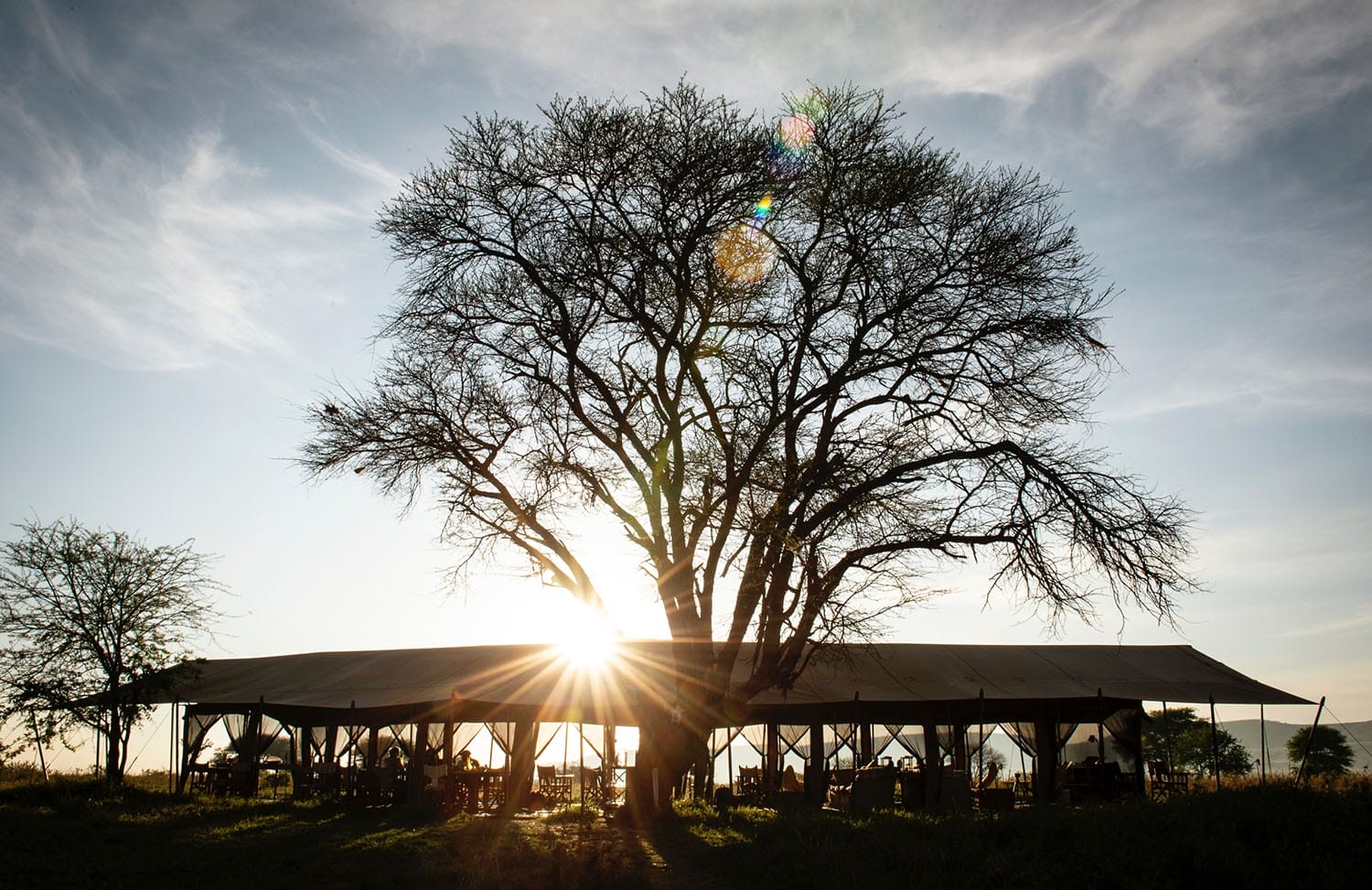 serengeti safari camp - gal 1