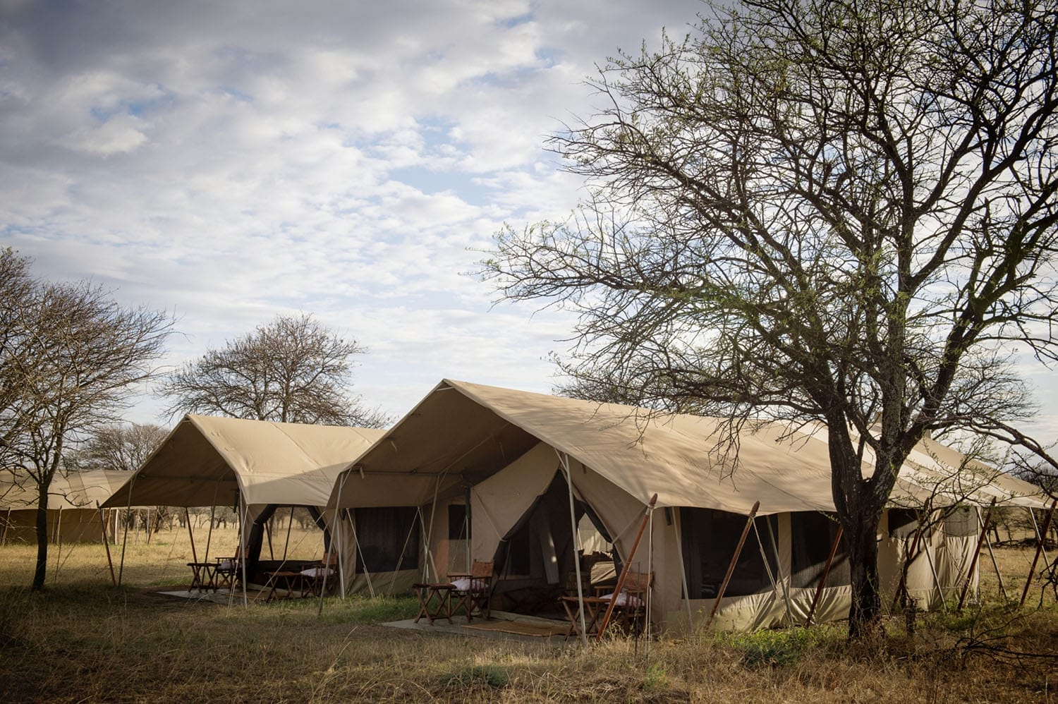 serengeti safari camp - gal 4