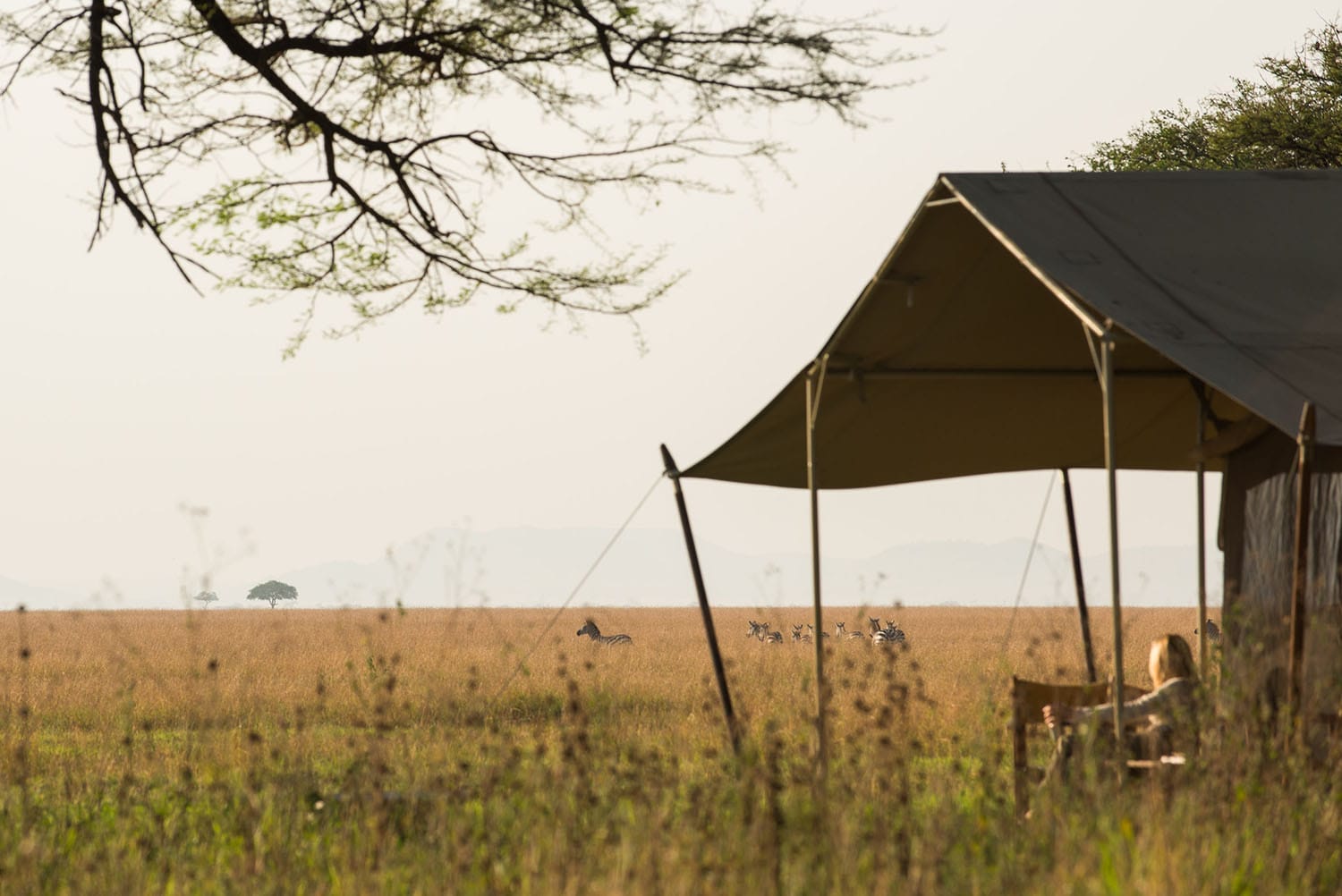 serengeti safari camp - gal 5