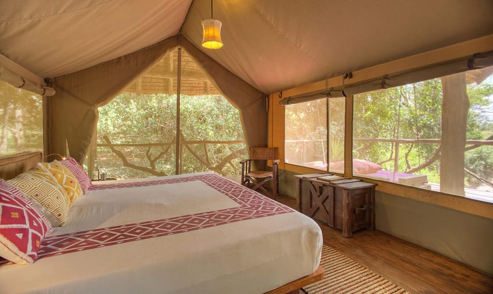 view_from_the_tent