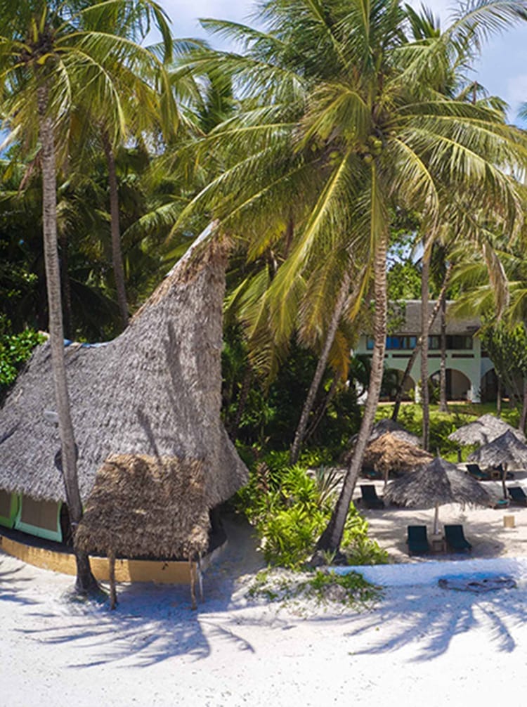 Beach-aerial-3JPG | Gamewatchers Safaris aerial view of beachside bar