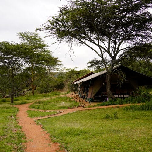Luxury camping