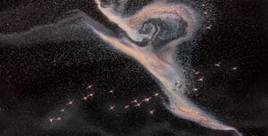 Flock of Birds - FAQ