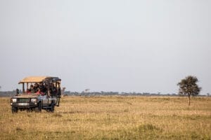 safari vehicle filled with tourists