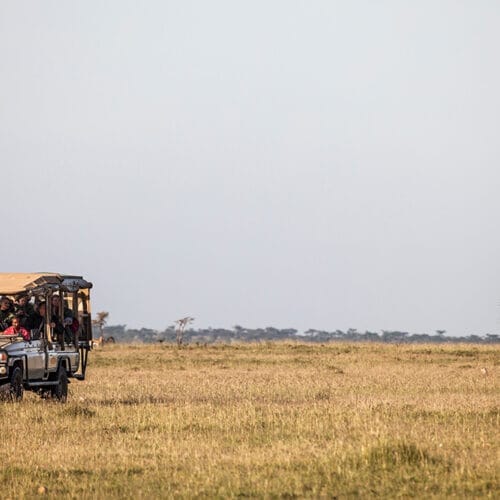 safari vehicle filled with tourists