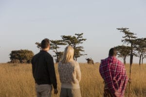 walking safari