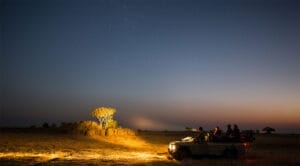 safari vehicle with tourists in it