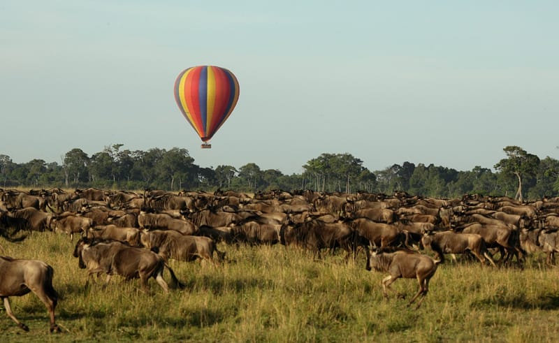 1277288795 | Gamewatchers Safaris hot air balloon over herd of animals