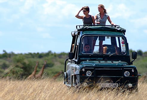 safari vehicle